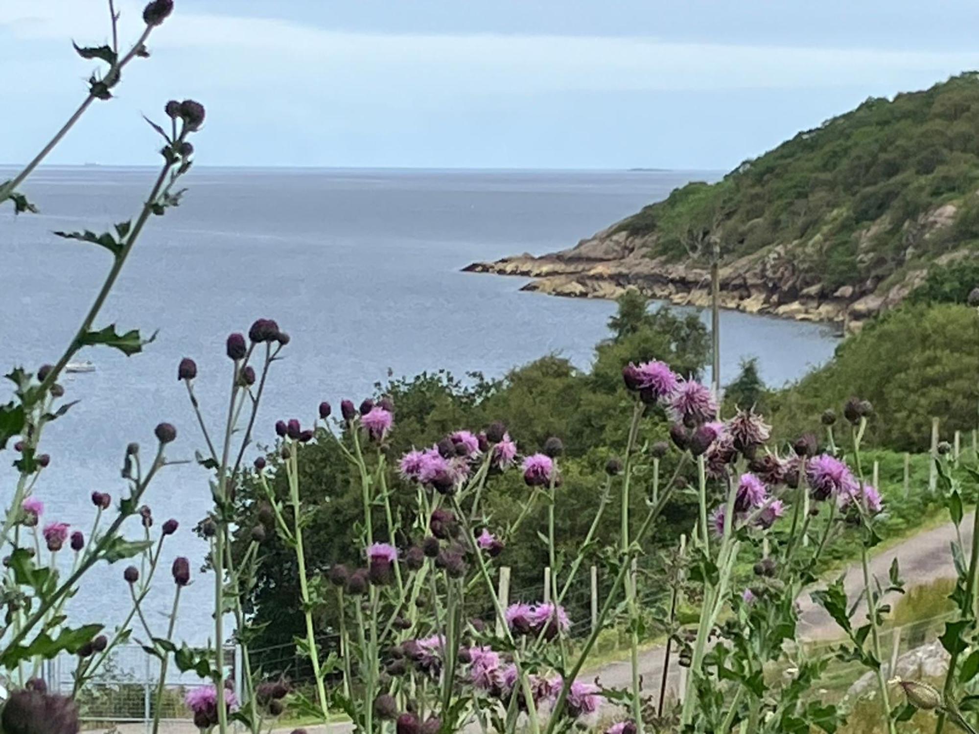 Waterfront Cottage Applecross Peninsula Ardheslaig エクステリア 写真